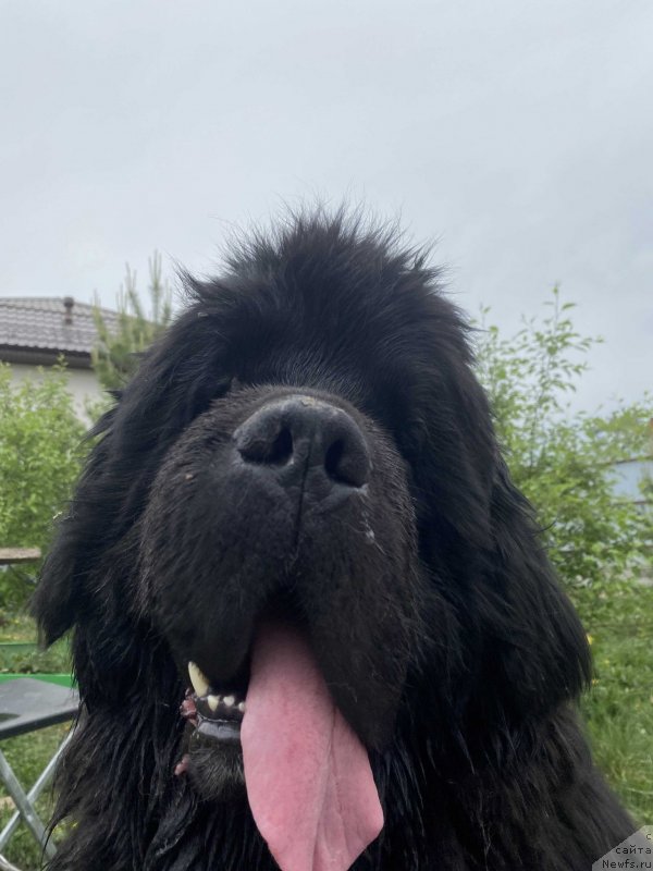 Фотография № 248551