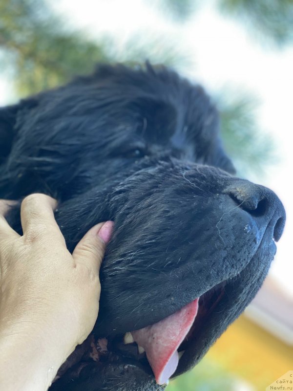 Фотография № 248553