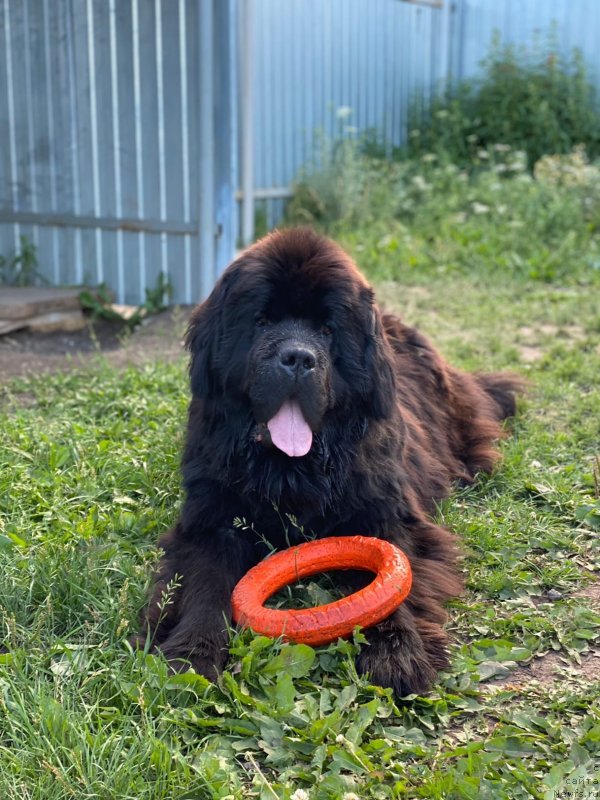 Фотография № 248554