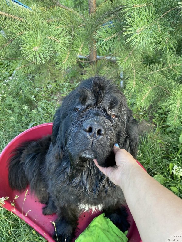 Фотография № 248555