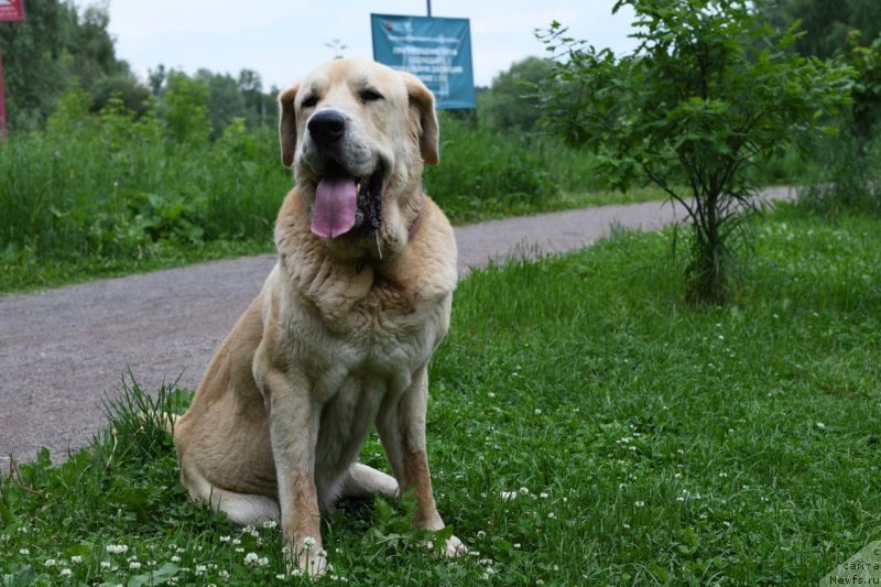 Фотография № 248556