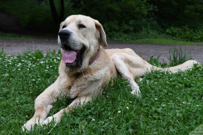 Фотография № 248557