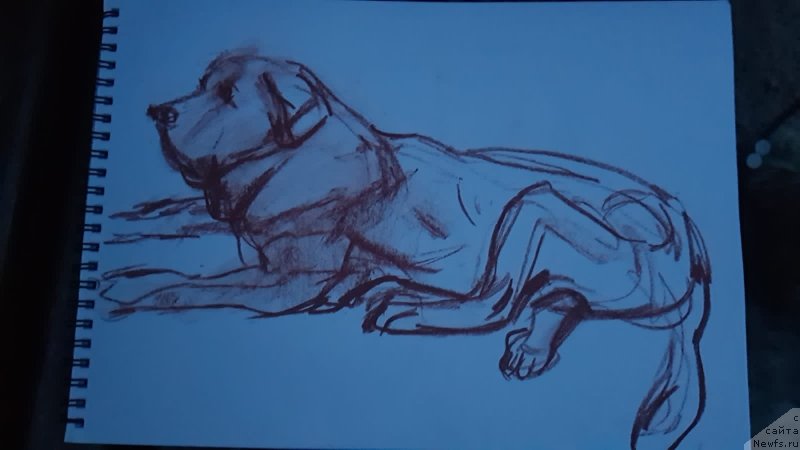 Фотография № 248558