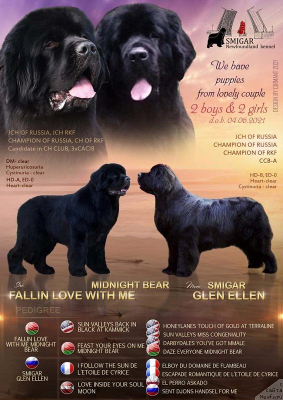 Фотография № 248580