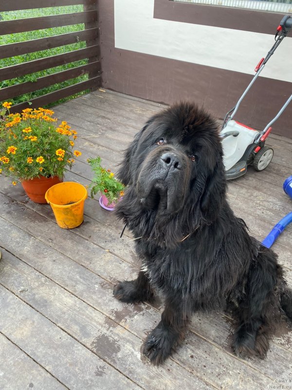 Фотография № 248602