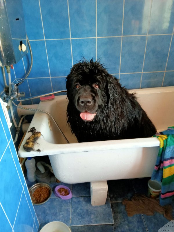 Фотография № 248603