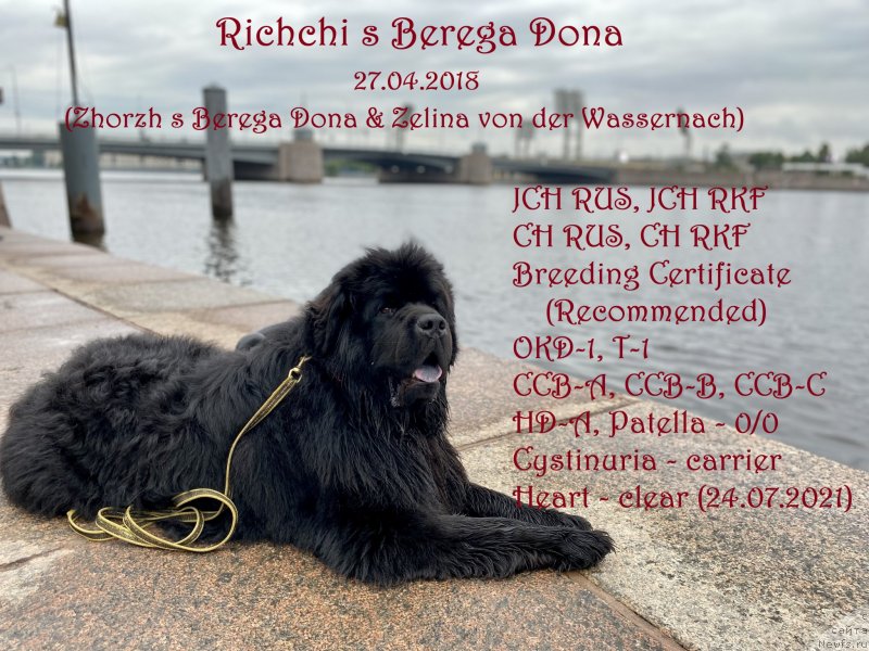 Фотография № 248627