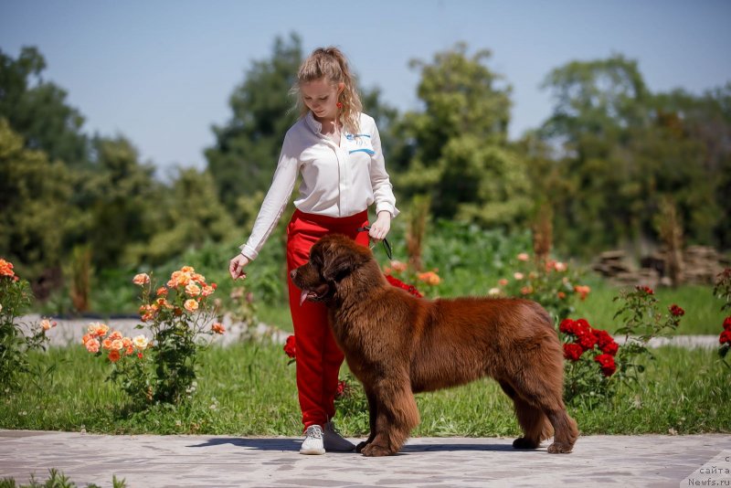 Фотография № 248628