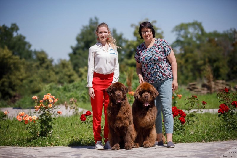 Фотография № 248630