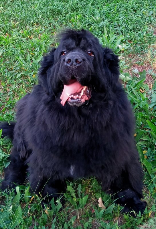 Фотография № 248664