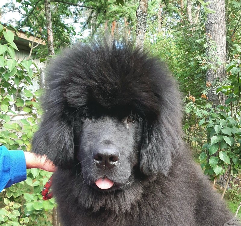 Фотография № 248673