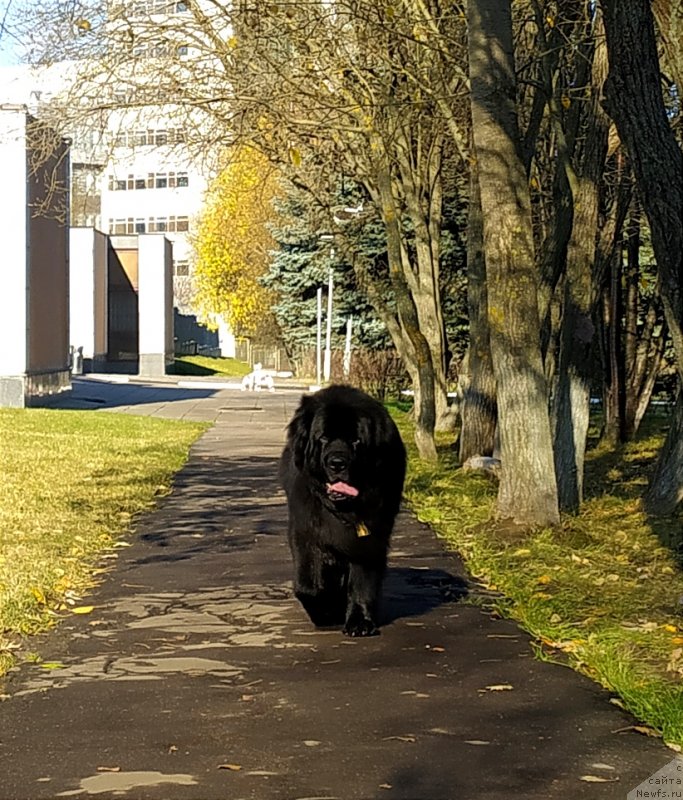 Фотография № 248782