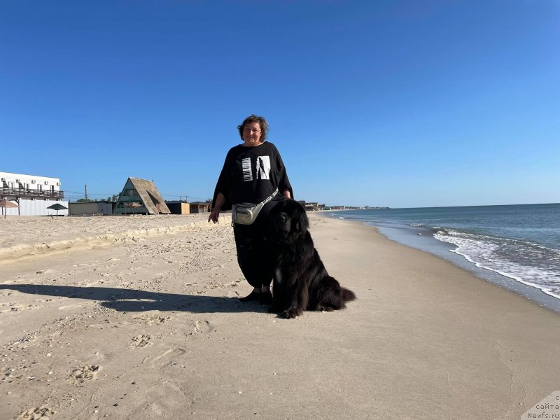 Фото: ньюфаундленд Даанич Веселый Роджер, Лилиана Рахматова