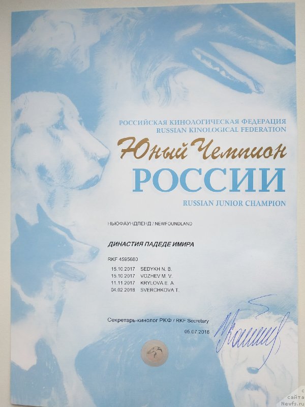 Фото: Екатерина Пестрякова, ньюфаундленд Династия Падеде Имира