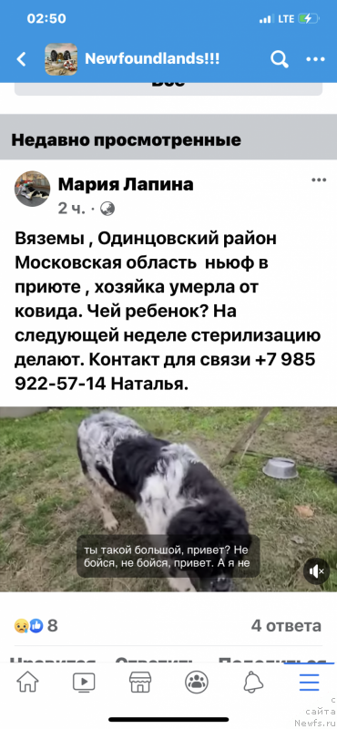 Фотография № 248846