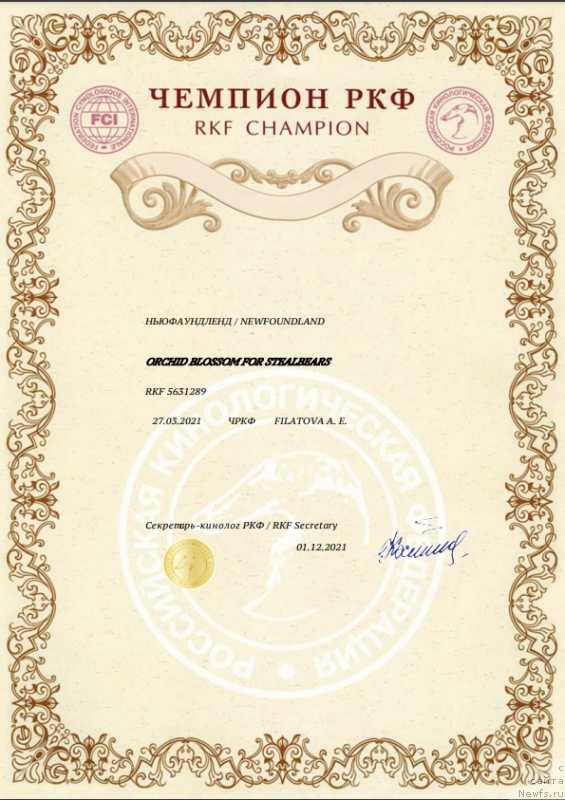 Фото: ньюфаундленд Орхид Блоссом фор Стеалбеарс (Orchid Blossom for Stealbears)