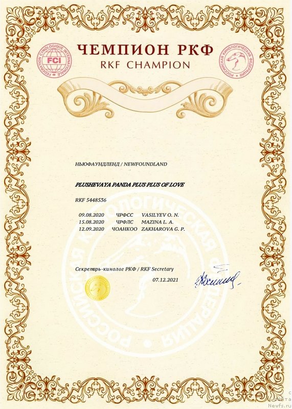 Фото: ньюфаундленд Плюшевая Панда Плюс Плюс оф Лове (Plushevaya Panda Plus Plus of Love)