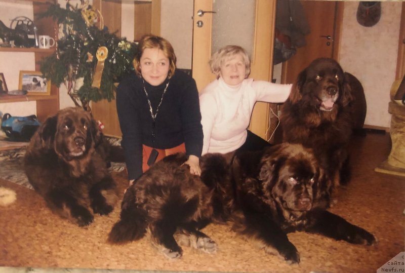 Фото: ньюфаундленд Юджин с Берега Дона, ньюфаундленд Игерма из Академии Шоколада (Igerma iz Akademii Shokolada), ньюфаундленд Ютта с Берега Дона, Лилиана Рахматова, Наталья Смазчикова