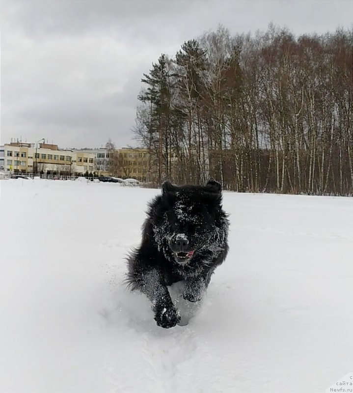 Фотография № 248893