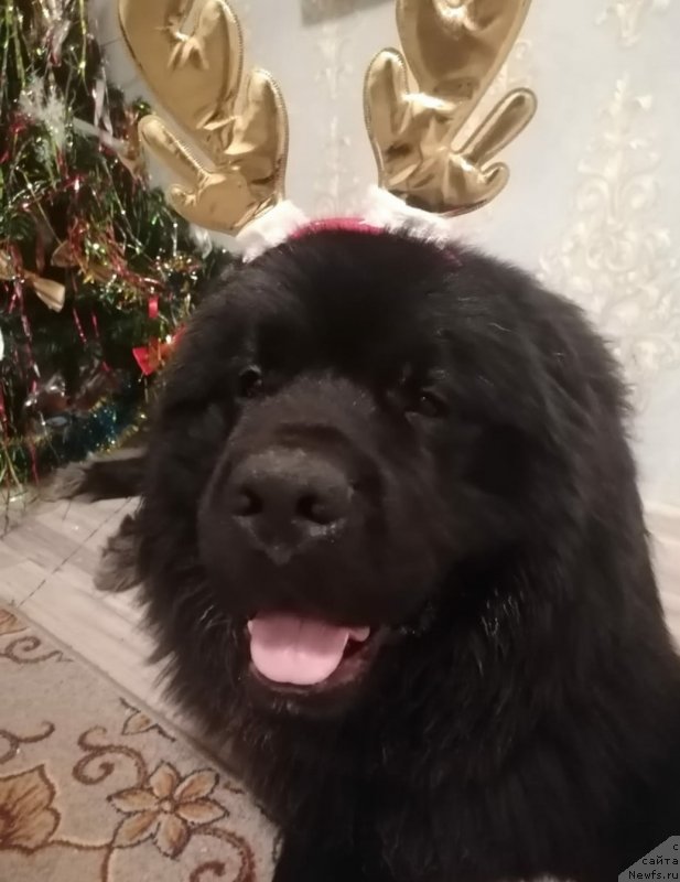 Фотография № 248894