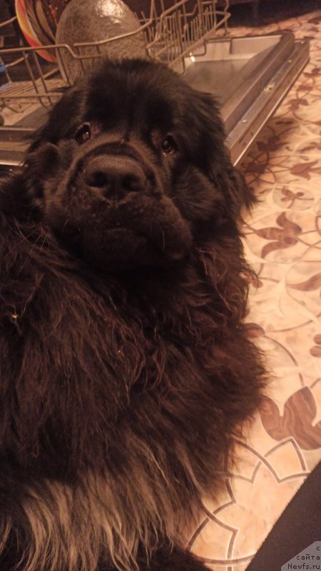 Фотография № 248895