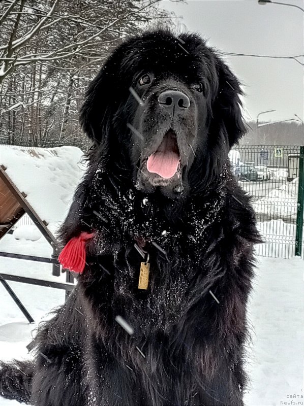 Фотография № 248910