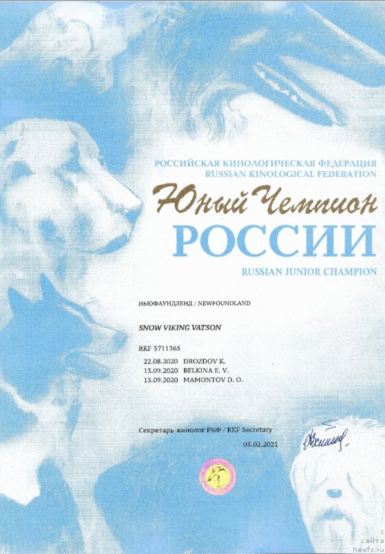 Фото: ньюфаундленд Сноу Викинг Ватсон