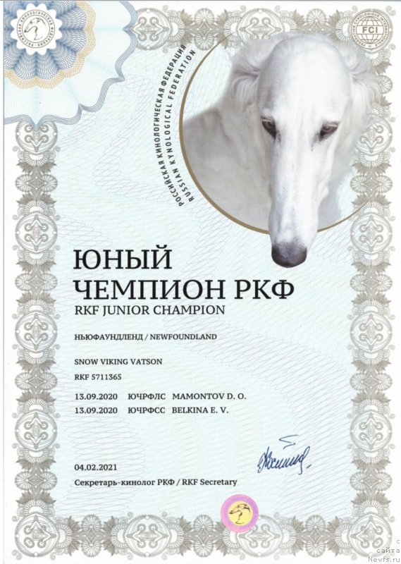 Фото: ньюфаундленд Сноу Викинг Ватсон
