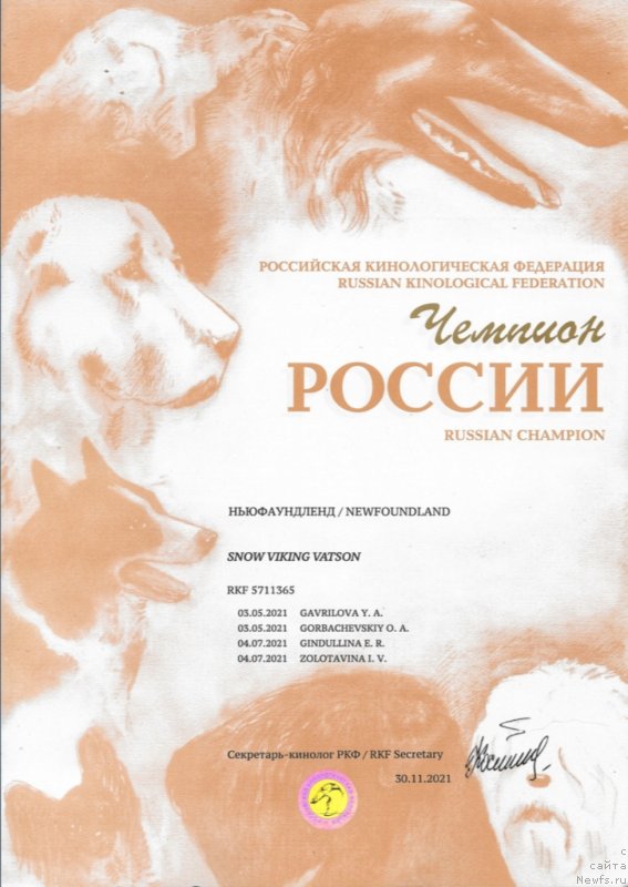 Фото: ньюфаундленд Сноу Викинг Ватсон