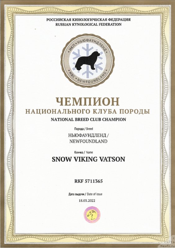 Фото: ньюфаундленд Сноу Викинг Ватсон