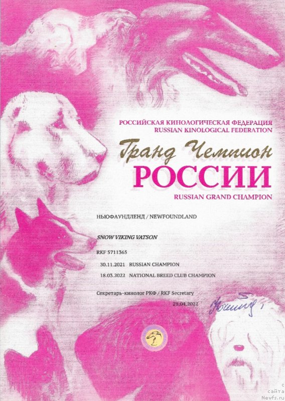 Фото: ньюфаундленд Сноу Викинг Ватсон