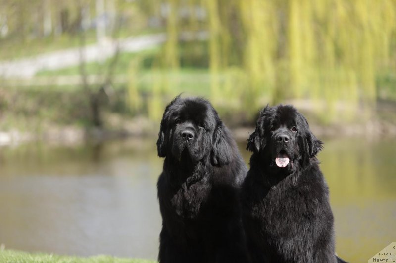 Фото: Екатерина Захарова