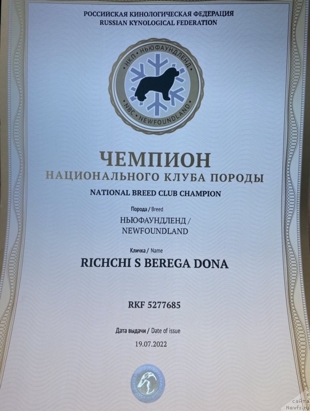 Фото: ньюфаундленд Риччи с Берега Дона (Richchi s Berega Dona)