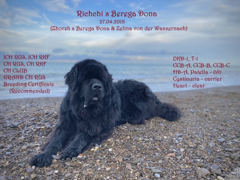 Фотография № 249047