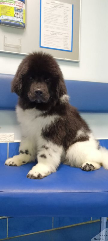 Фото: Алексей Нистратов