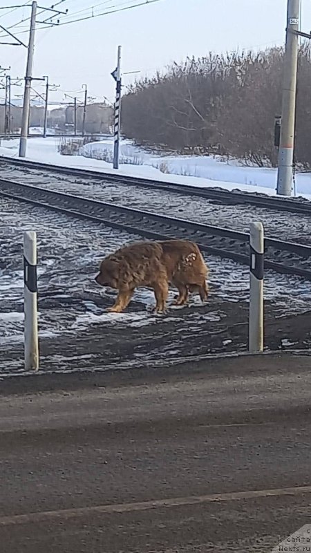 Фотография № 249059