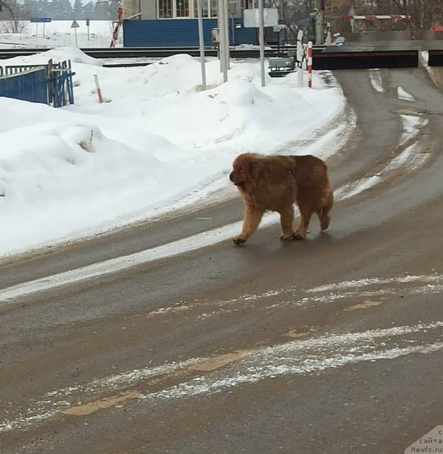 Фотография № 249060