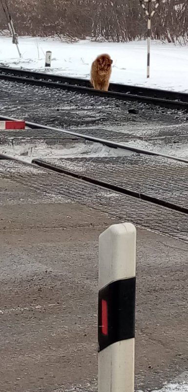 Фотография № 249061