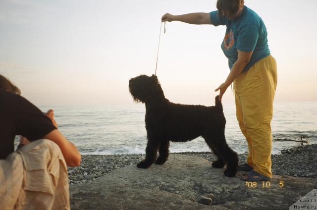 Фотография № 24914