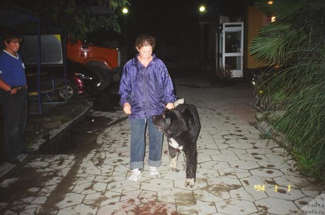 Фотография № 24915