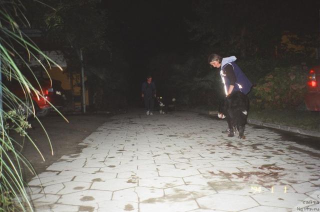 Фотография № 24917