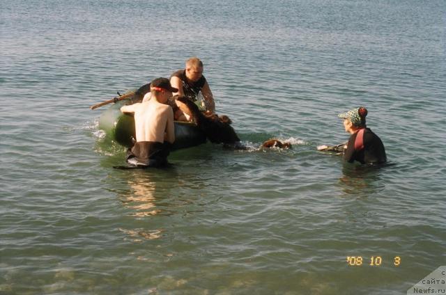 Фотография № 24920