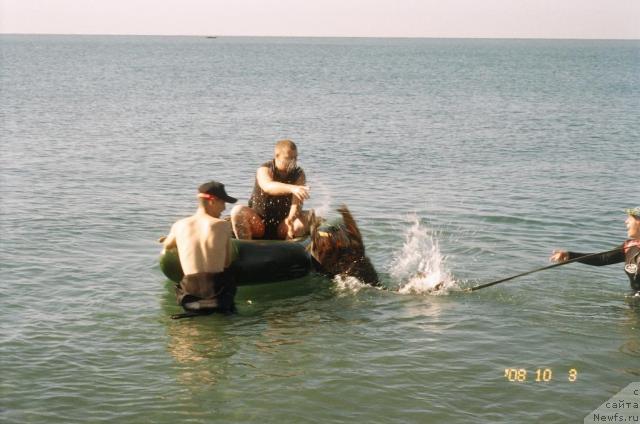 Фотография № 24921