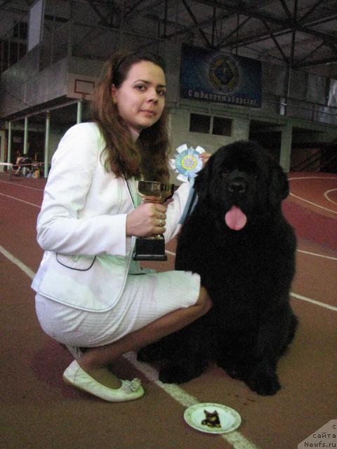 Фотография № 24950