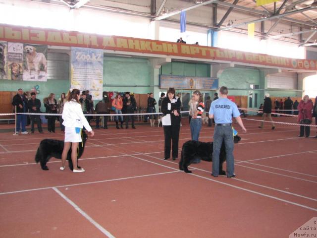 Фотография № 24956