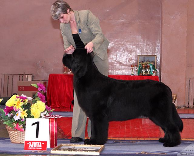 Фотография № 24975