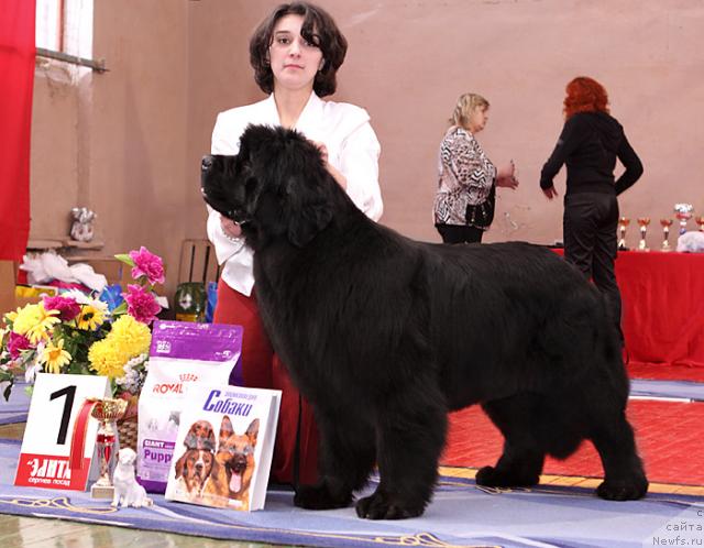 Фотография № 24976