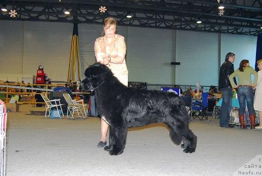 Фотография № 25014