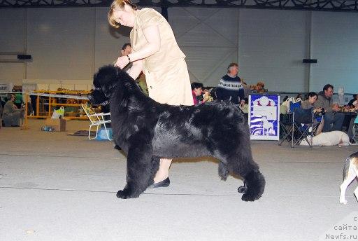 Фотография № 25015