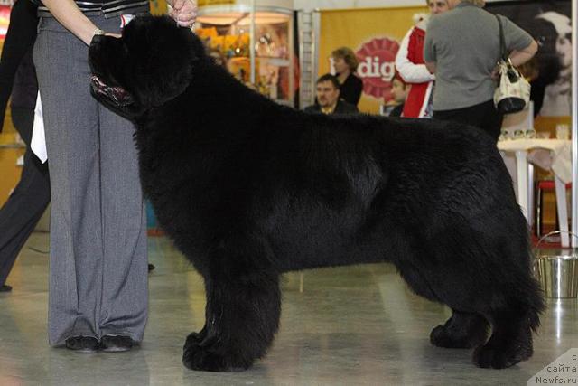 Фотография № 25022